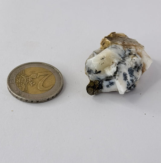 Opal Moss Bruch  Schliff