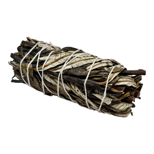 Clary Salbei Bündel 10 cm zum Räuchern