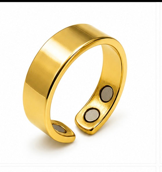 Magnet Ringe