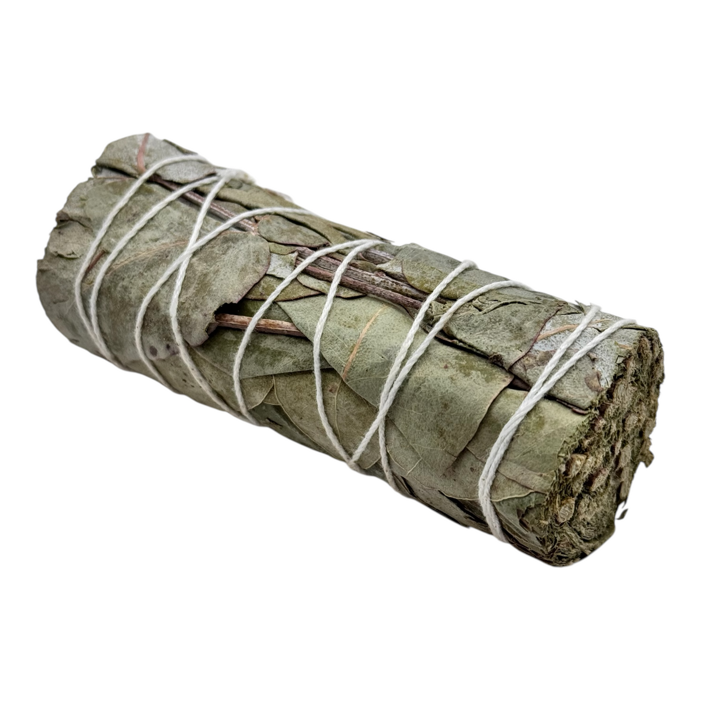 Eukalyptus Bündel 10 cm zum Räuchern