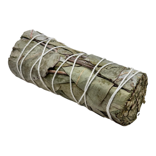 Eukalyptus Bündel 10 cm zum Räuchern