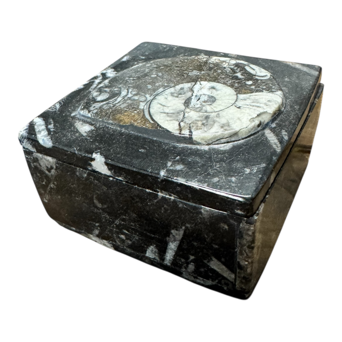 Fossilien Räucherschale aus Naturstein, seitliche Ansicht