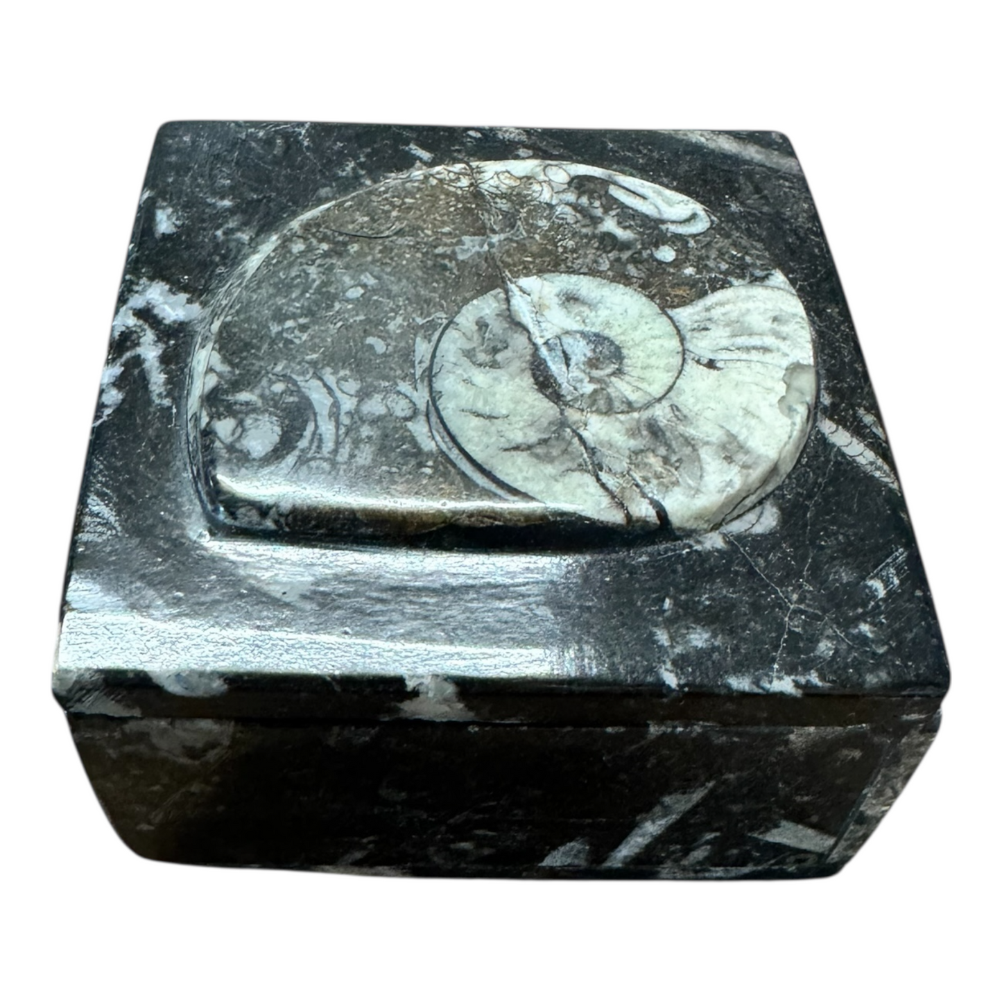 Geschlossene Naturstein Steinschale mit fossiler Schnecke – Räucherschale